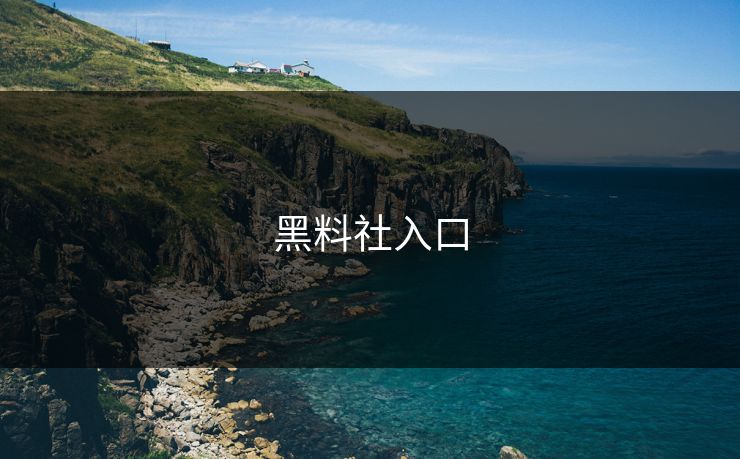黑料社入口