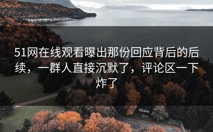 51网在线观看曝出那份回应背后的后续，一群人直接沉默了，评论区一下炸了