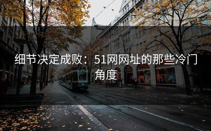 细节决定成败：51网网址的那些冷门角度