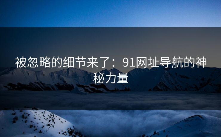 被忽略的细节来了：91网址导航的神秘力量